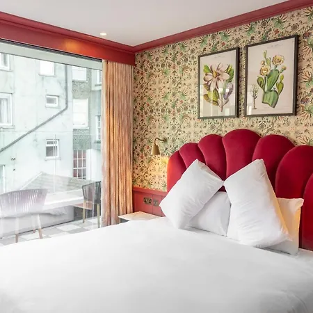 ذا دين دبلن