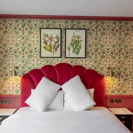 ذا دين دبلن